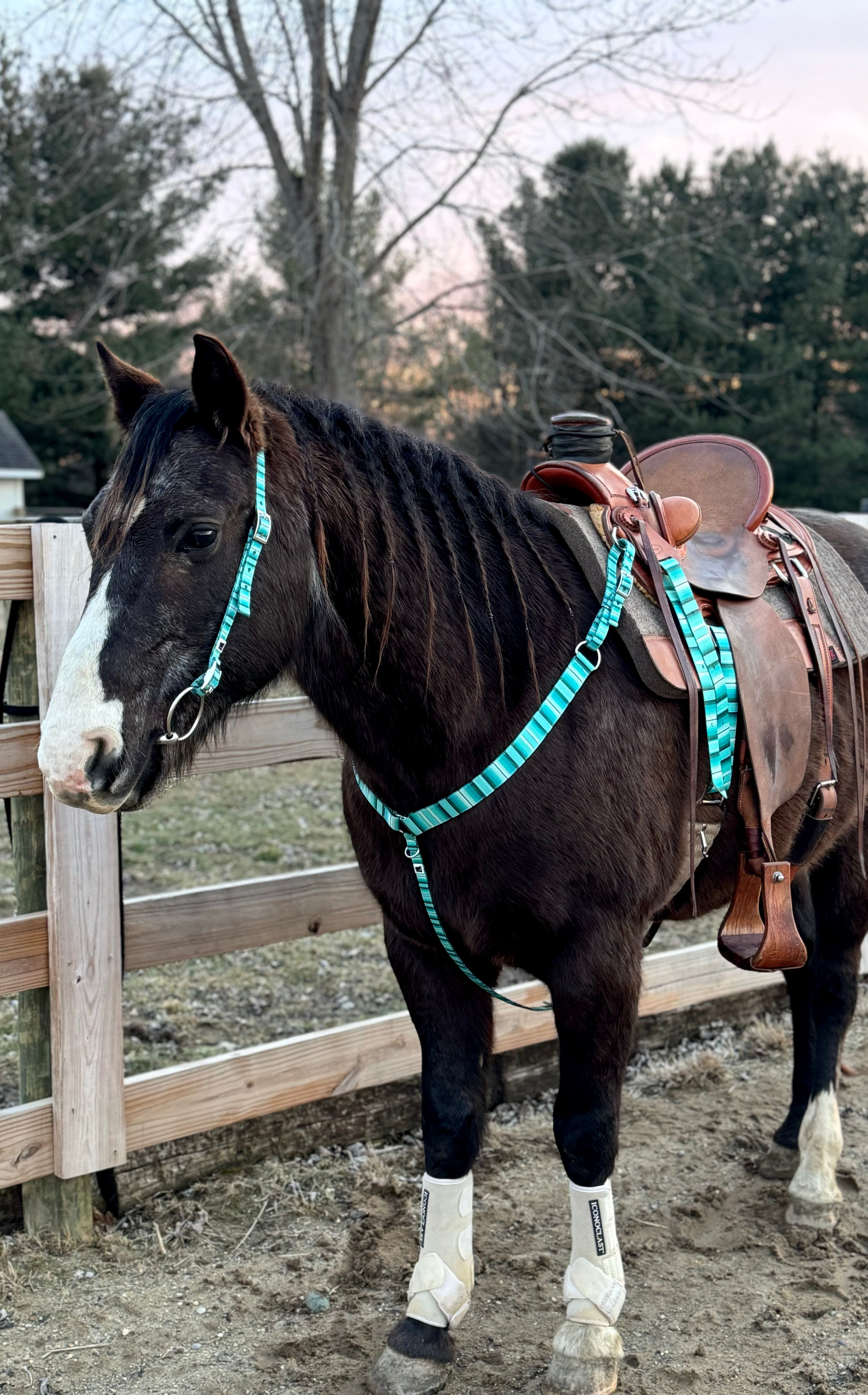 Blue Serape 1” Wide Breast Collars