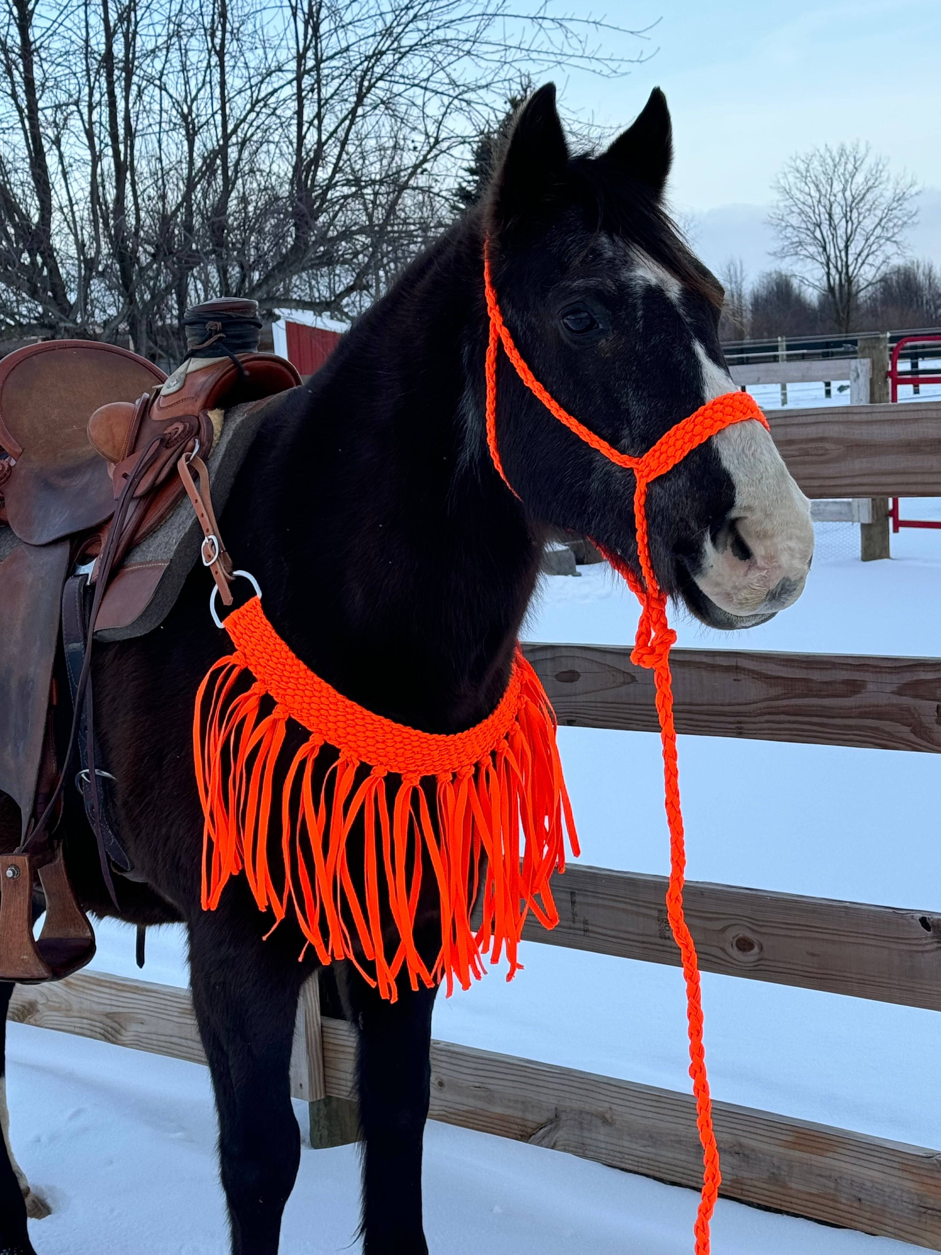 Neon Orange Fringe Tripping Collars