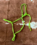 Four-Knotted Rope Halters