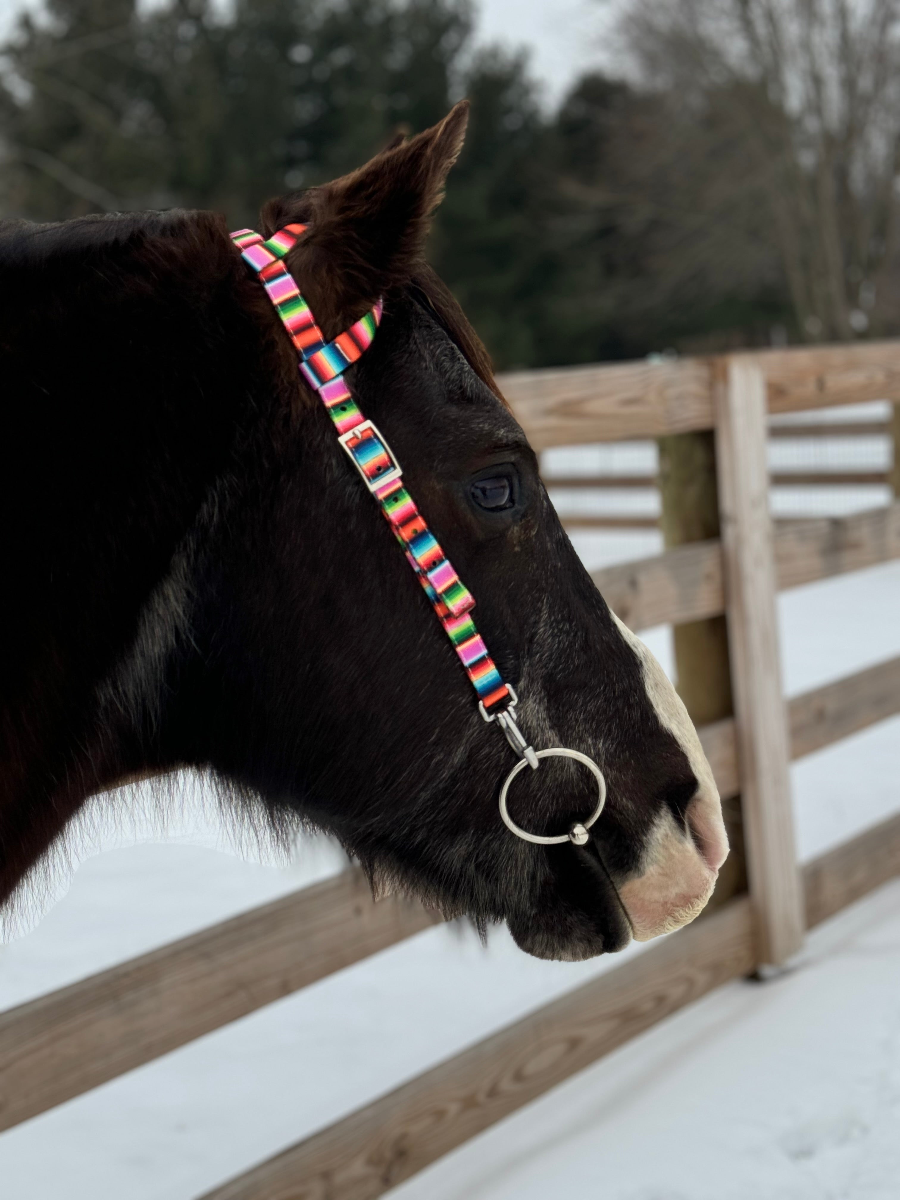 Summer Serape One Ear Headstalls