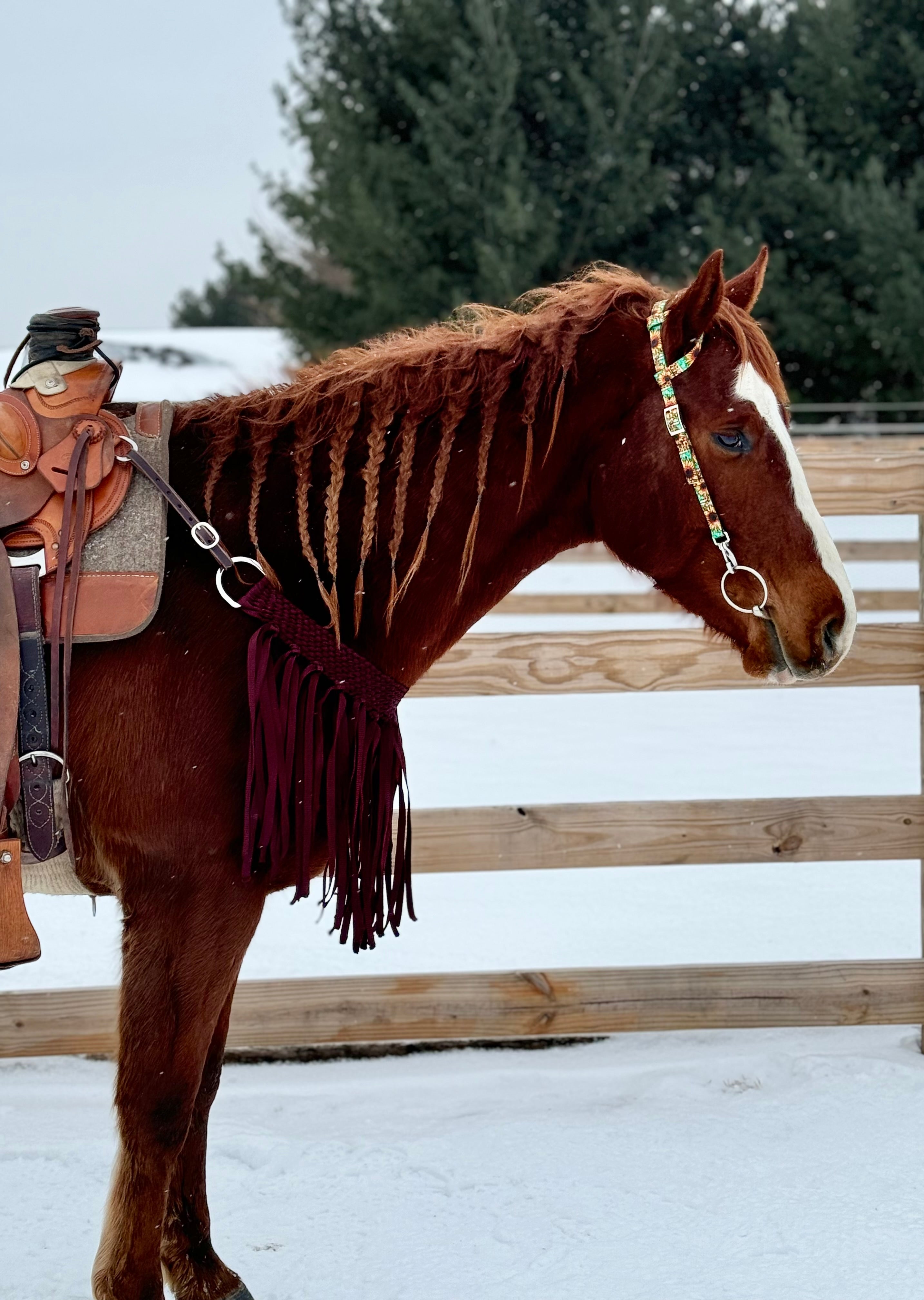 Maroon Fringe Tripping Collars