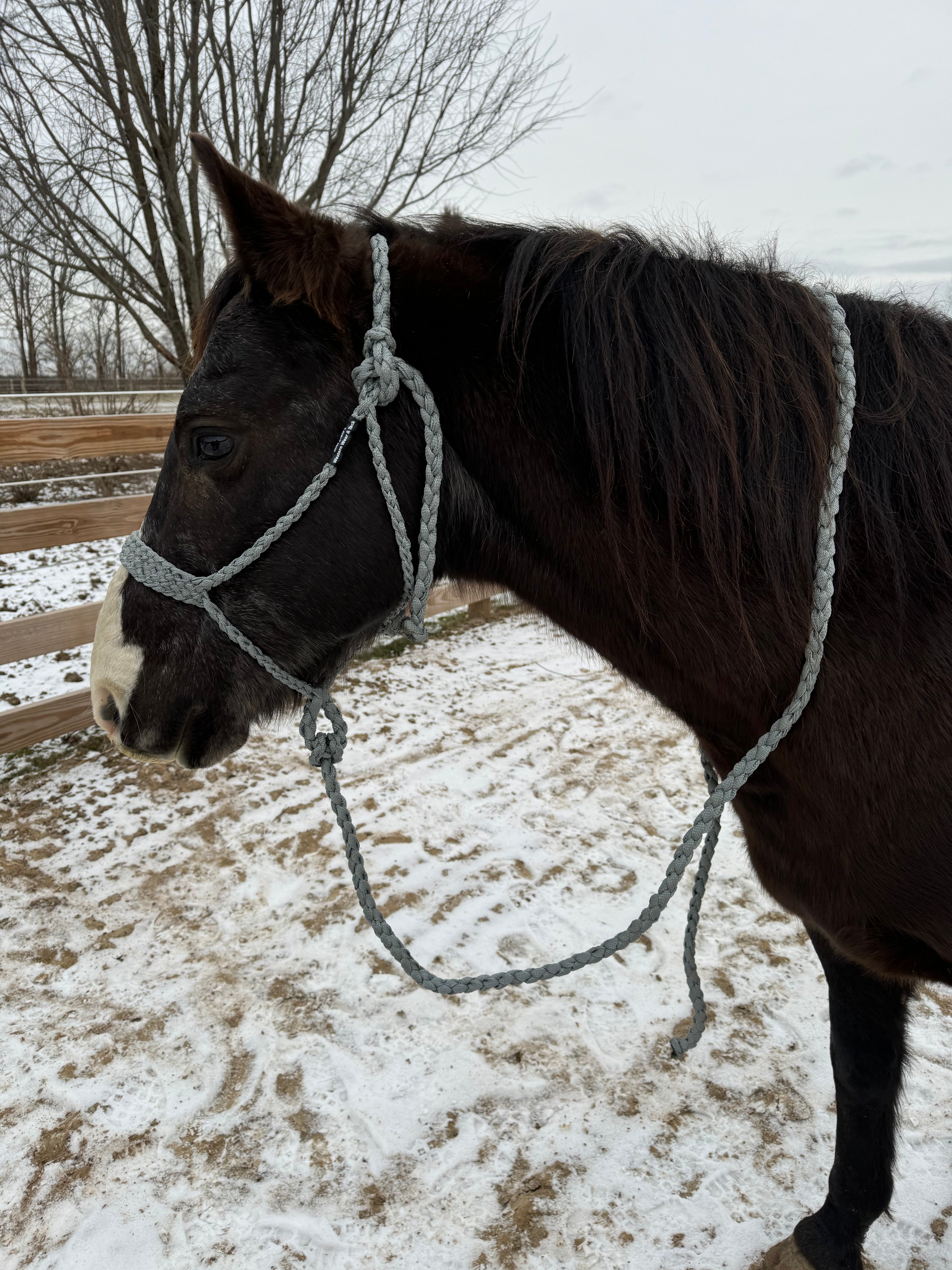 Mule Tape Halters