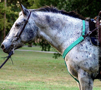 Breast Collar & Wither Strap (No Fringe)