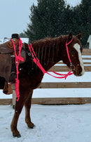 Tack Sets with a Matching Halter (No Fringe)