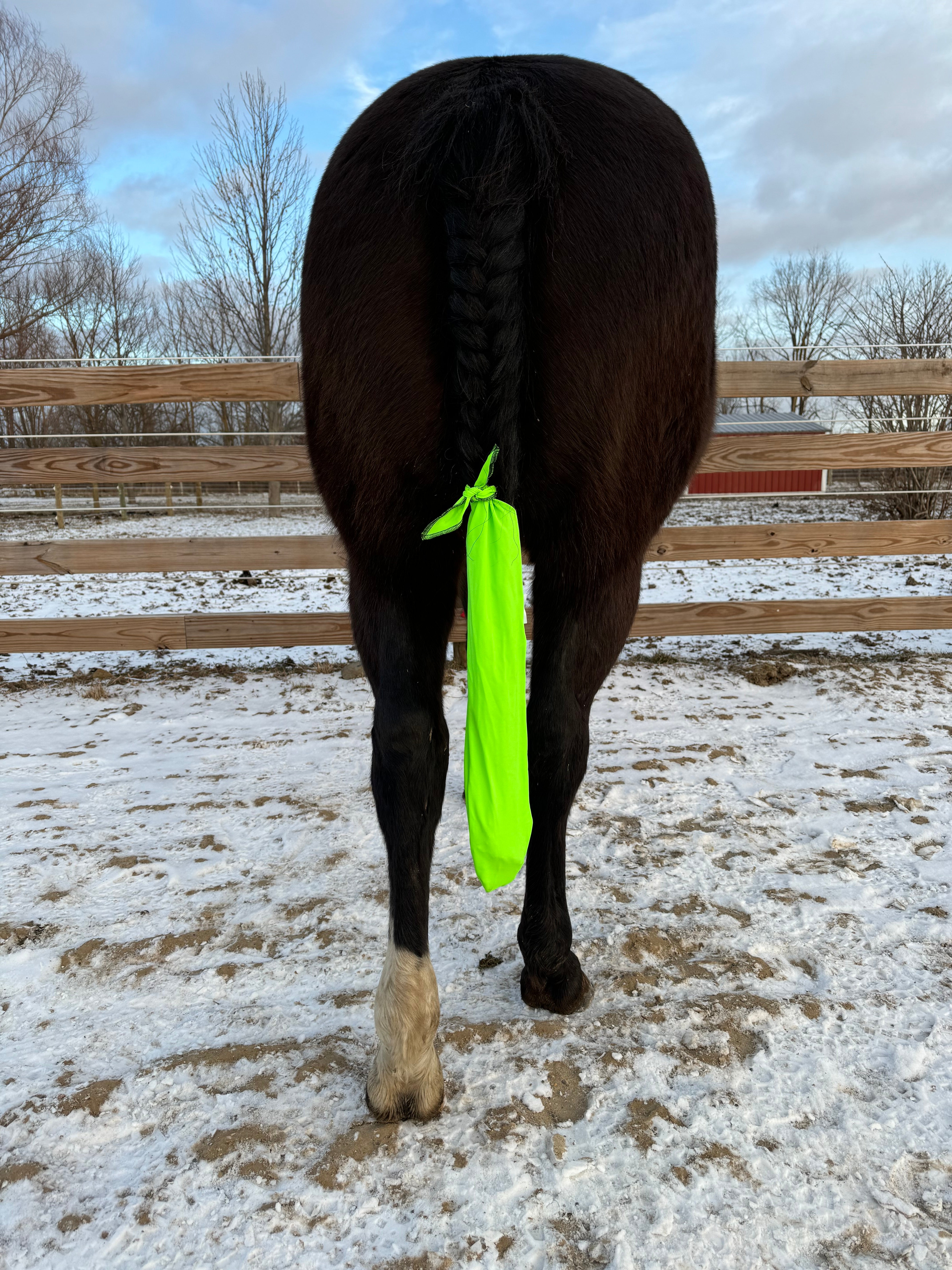 Lime Green Tail Bag